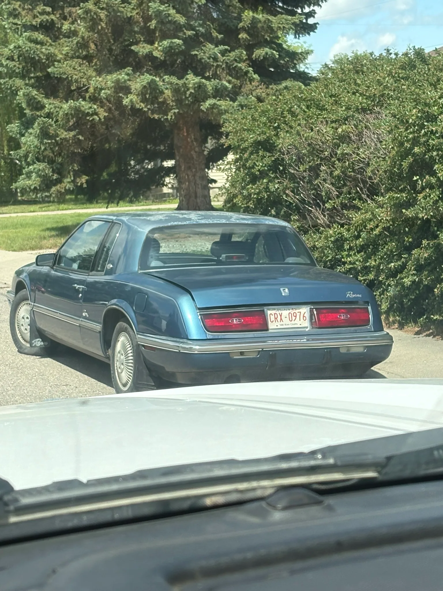 Blue Buick Park Avenue sedan with Alberta plate “CRX 0976” parked on sunny residential street; evergreen tree and hedge in background.