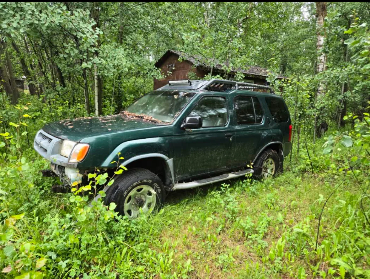 Dark green Nissan Xterra with roof rack parked in forest clearing; leaves and debris on hood suggest long-term outdoor storage.