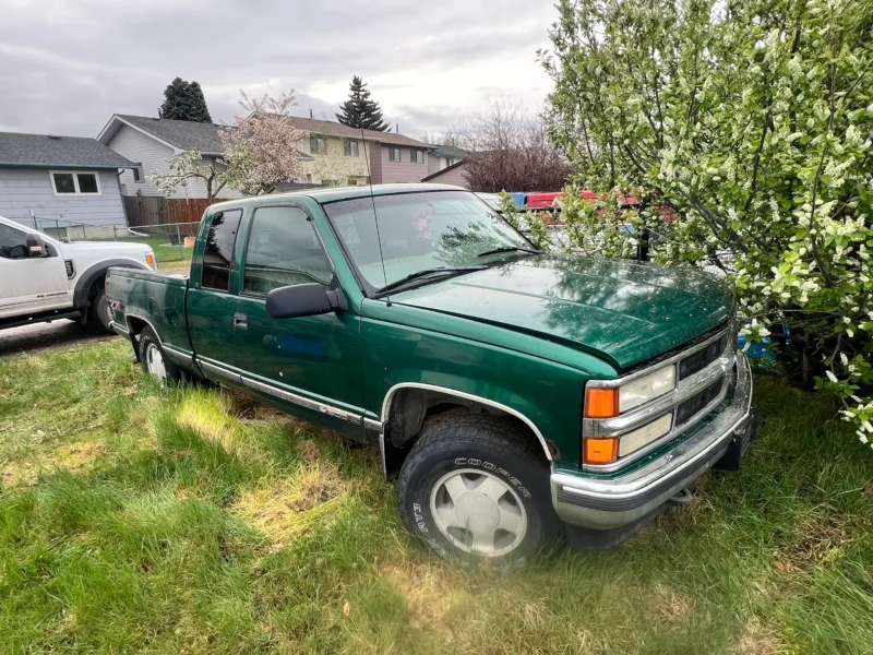 Green pickup truck with chrome trim and extended cab parked on grass near flowering tree; residential houses, white truck, and cloudy sky in background.