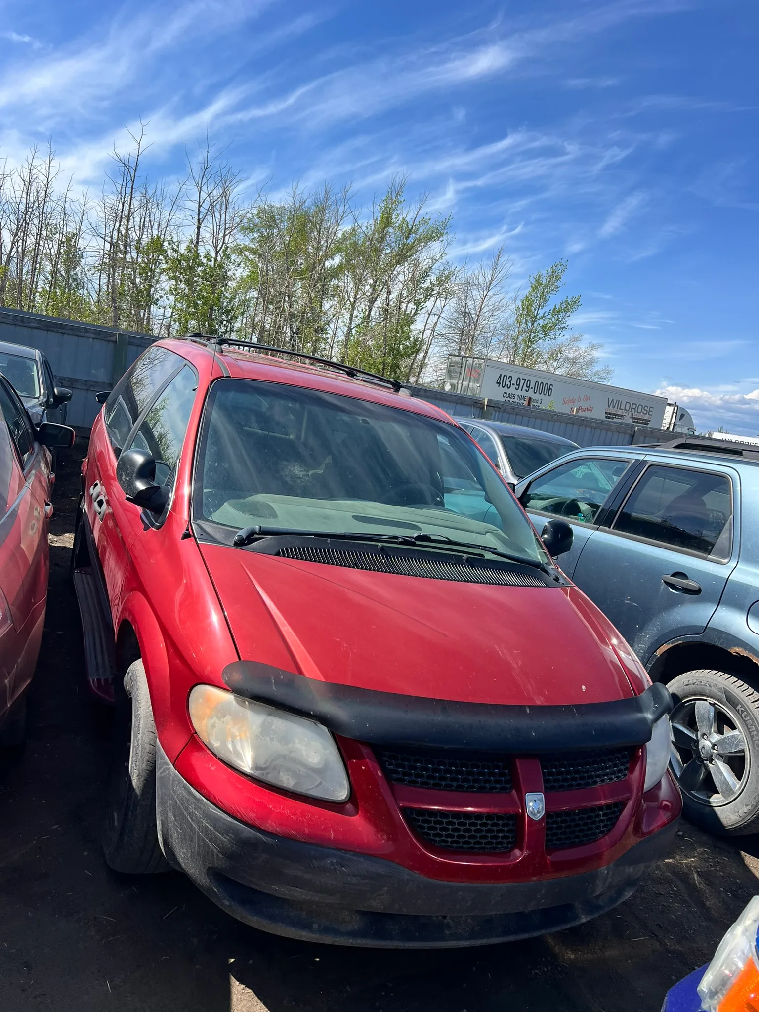 Red Dodge Caravan minivan with black bug deflector parked in lot among other vehicles; visible wear and dirt, trees with sparse foliage, and “WILDROSE” sign with phone number in background under partly cloudy sky.