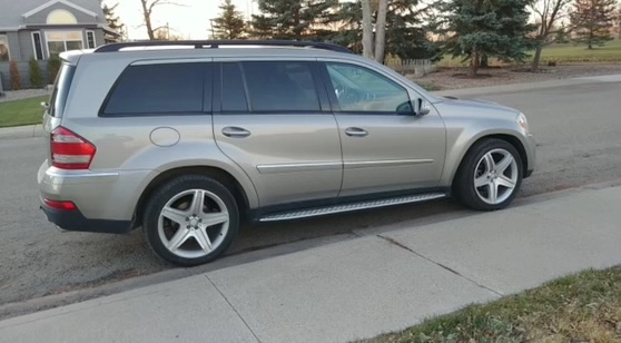 Silver Mercedes-Benz GL-Class SUV with five-spoke alloy wheels and roof rails parked parallel to curb on residential street; suburban houses, trees, and grassy area visible under late afternoon light.